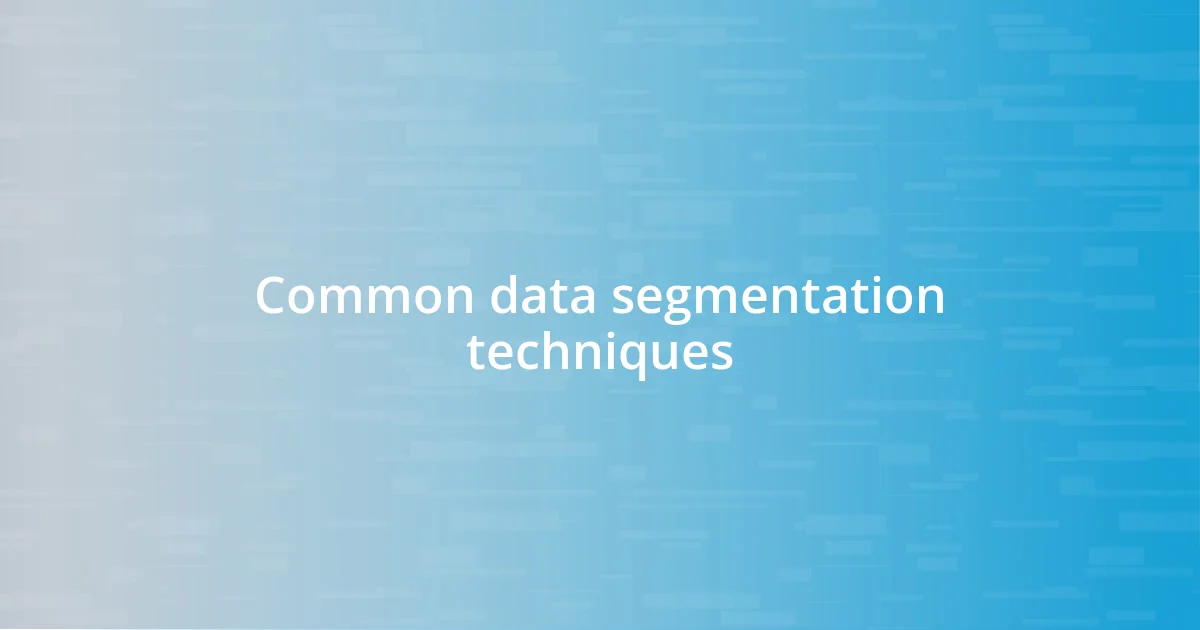 Common data segmentation techniques